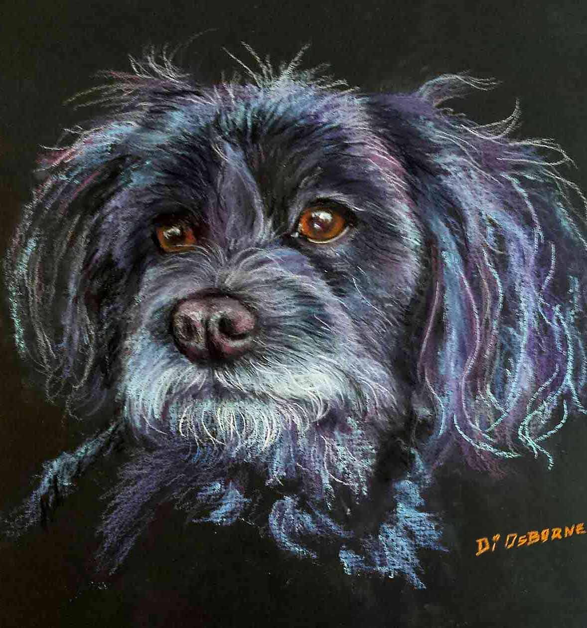 pencil pastel dog portrait